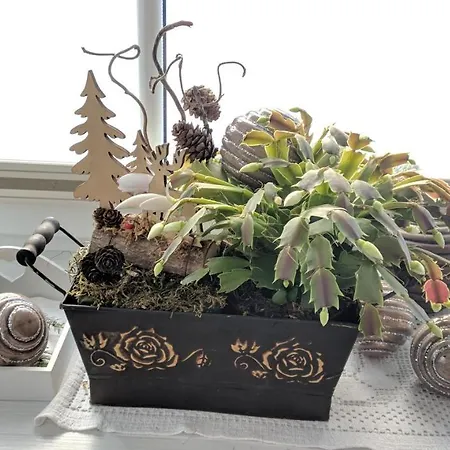 Fanny * Sankt Margarethen im Lungau